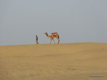 Désert du Thar - Inde